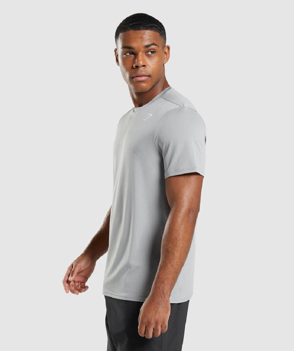 T Shirts Męskie Gymshark Arrival Regular Fit Szare | PL 3865TCE